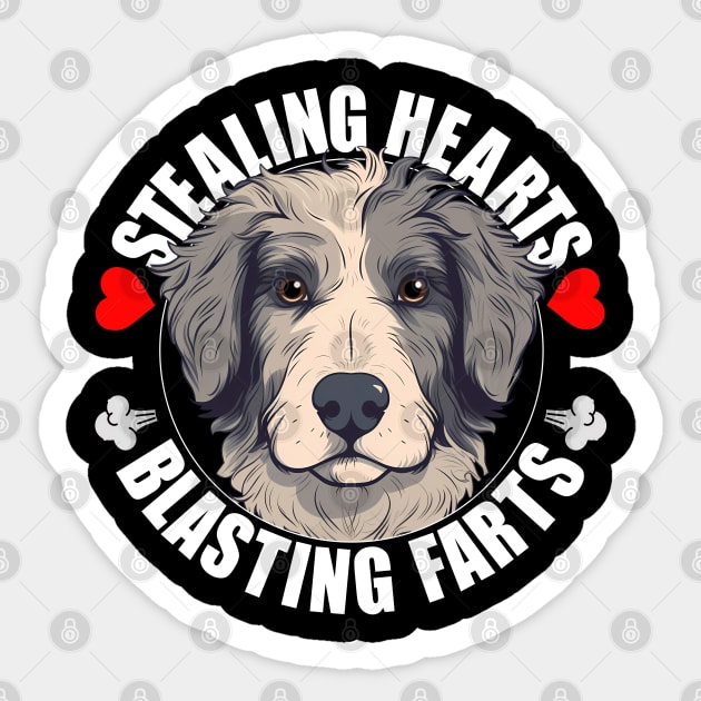 Aussiedoodle gifts hot sale